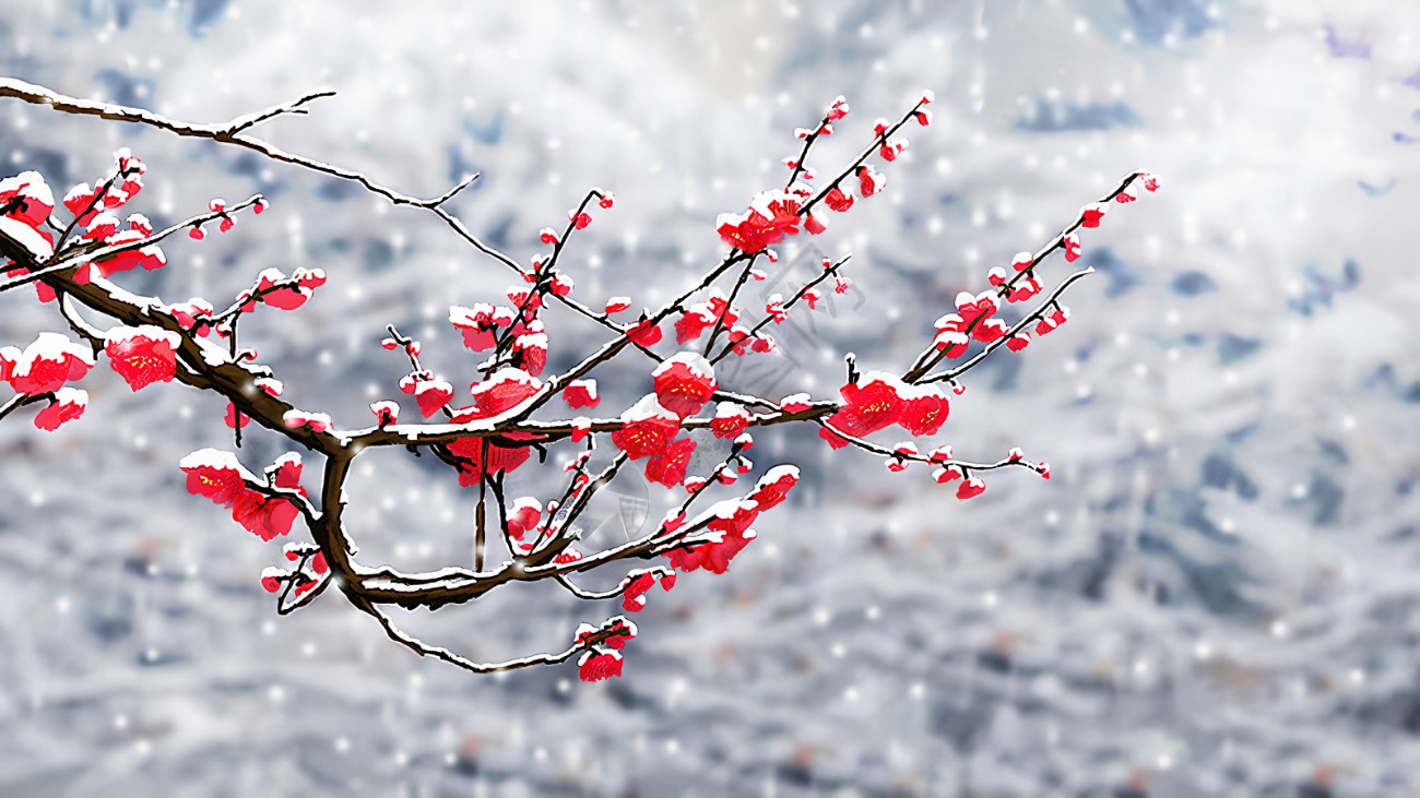 冬梅傲雪